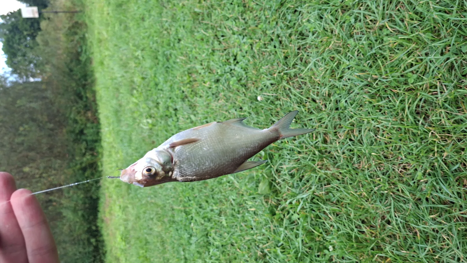 Karšiai