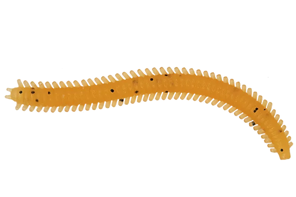 Silikoninis masalas LureMax RAG WORM 7cm (10 vnt.)
