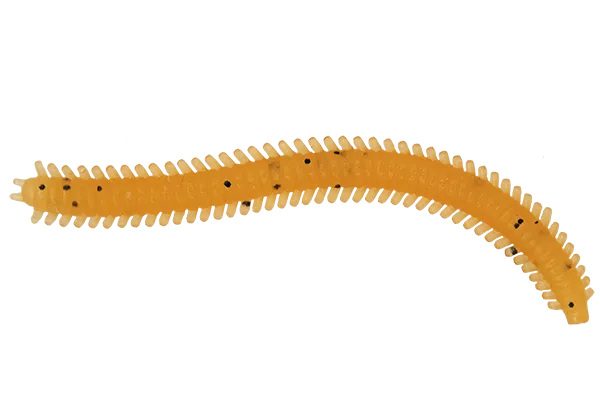 Silikoninis masalas LureMax RAG WORM 7cm (10 vnt.) – Caramel Oil