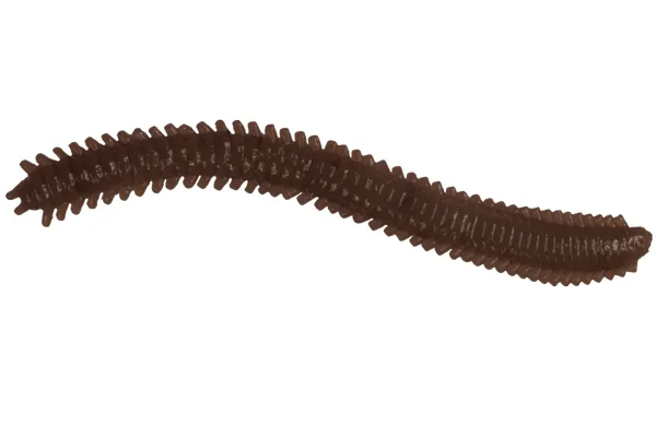 Silikoninis masalas LureMax RAG WORM 7cm (10 vnt.) – Worm Brown