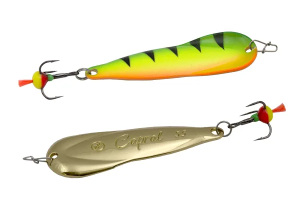 Blizgė ECOPRO Capral – FTG