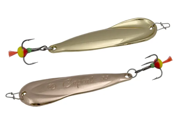 Blizgė ECOPRO Capral – G/C