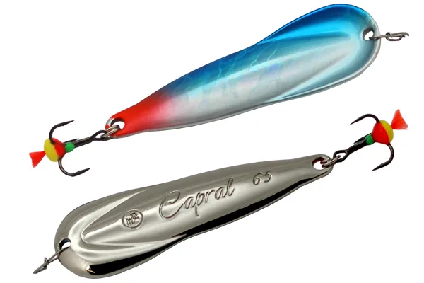 Blizgė ECOPRO Capral – BIB