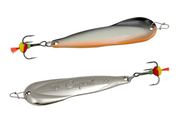 Blizgė ECOPRO Capral – MOS